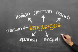 Choose the Most Suitable Language Course Adapted to Your Needs